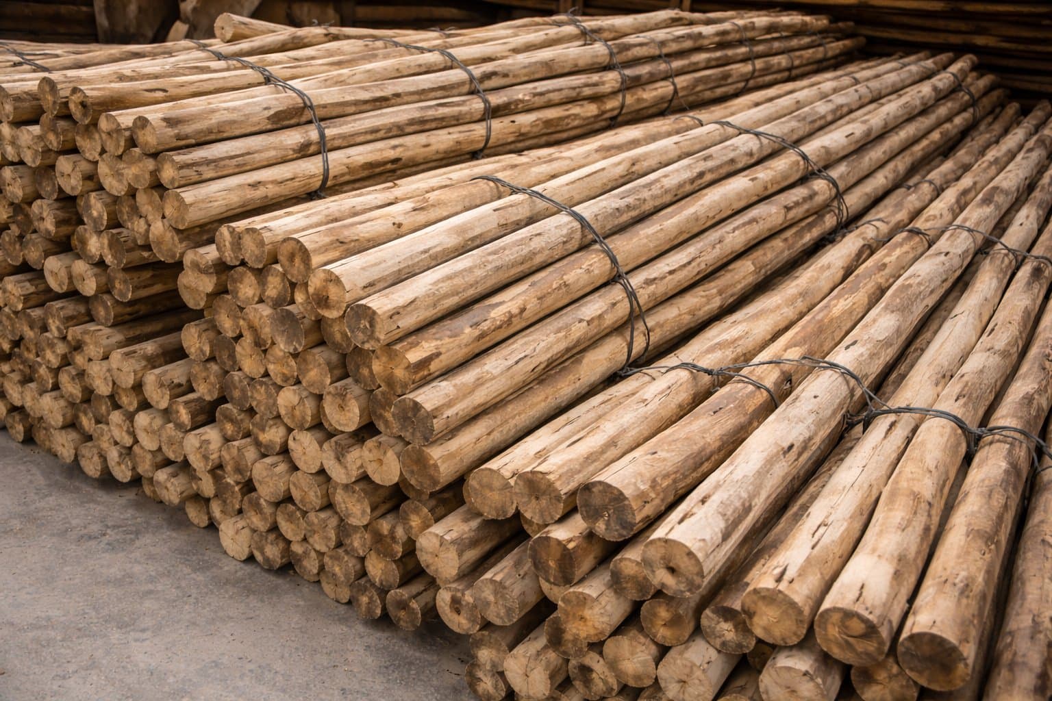 Rondins Eucalyptus Ø 32/50 mm